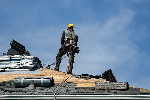 Professional Roofing technician working in Collegeville, MN